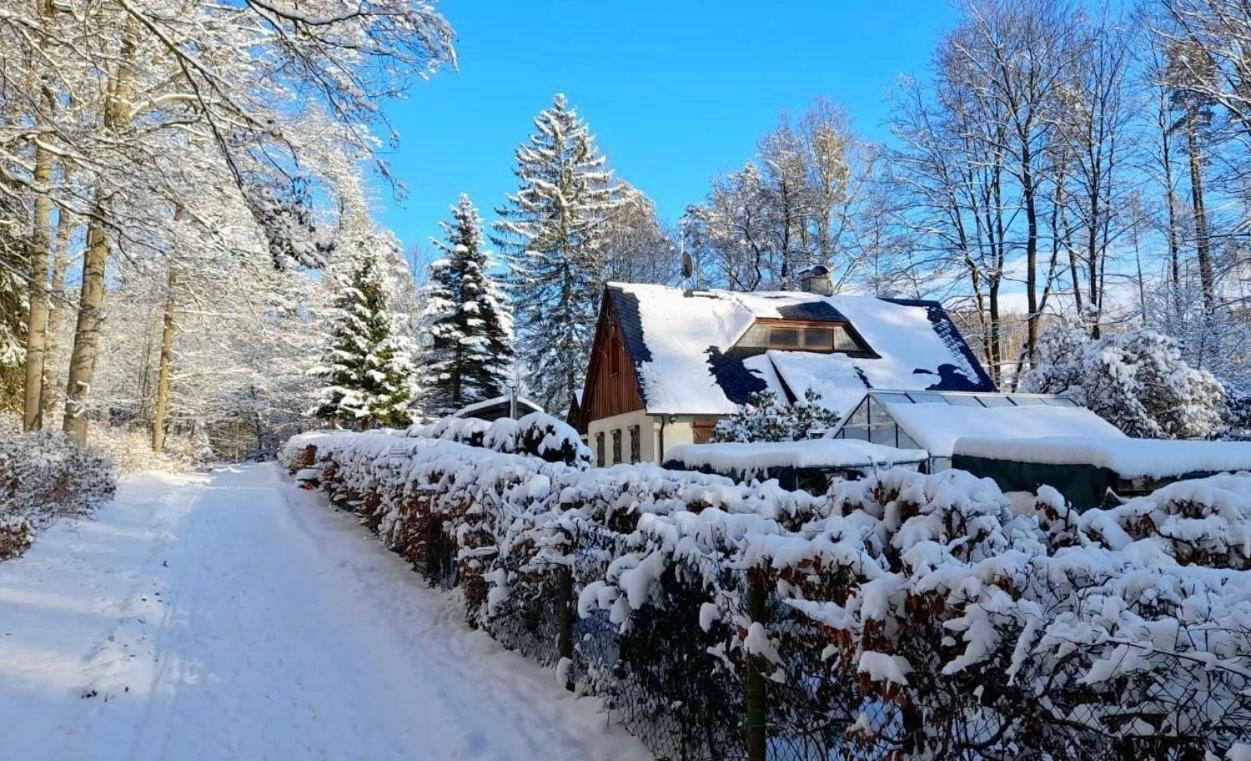 Ferienhaus Jaegerhaus Oppach Privathaus Dış mekan fotoğraf