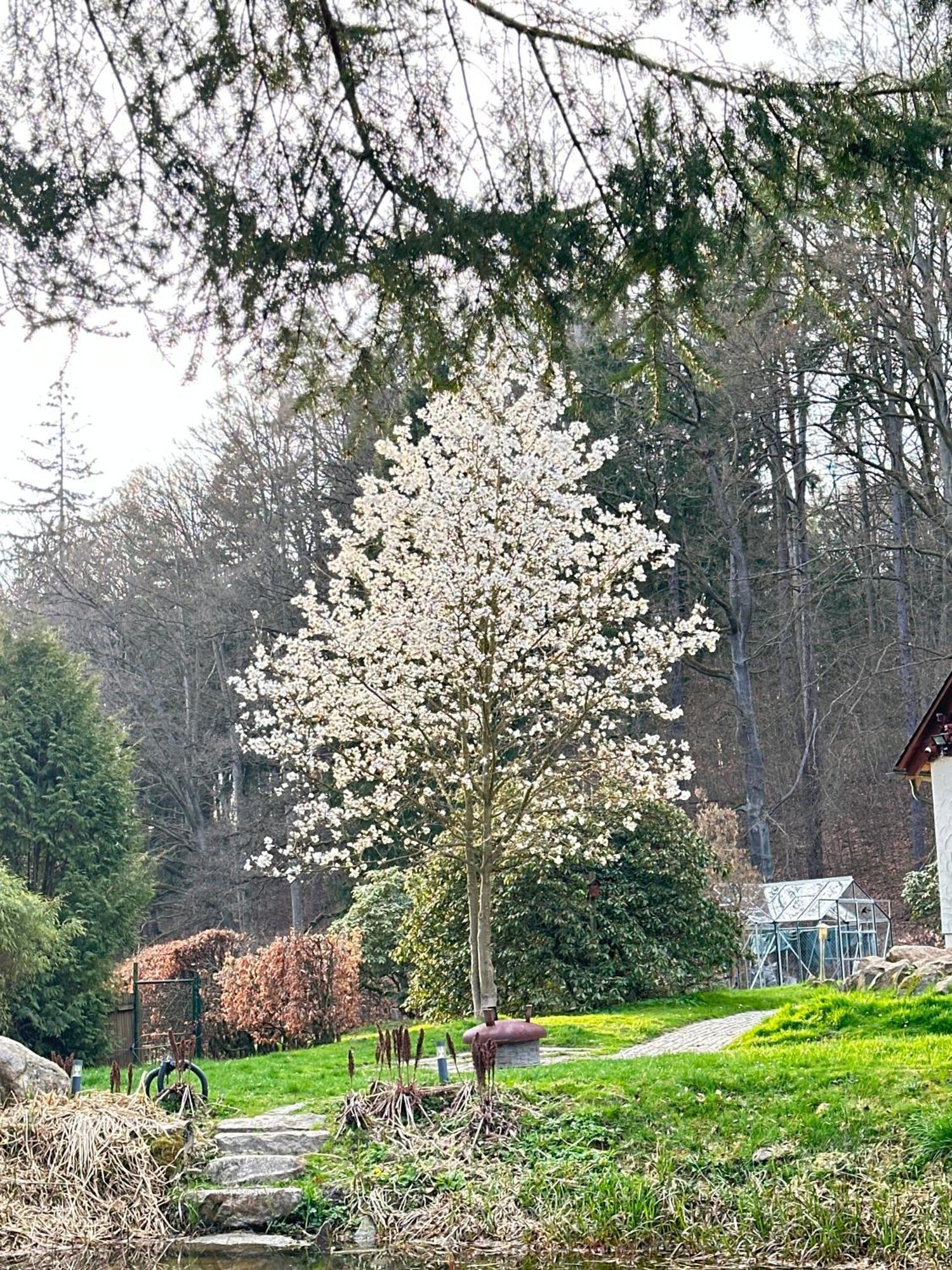 Ferienhaus Jaegerhaus Oppach Privathaus Dış mekan fotoğraf